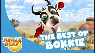 The Best of Bokkie - Jungle Beat Compilation [Full Episodes]