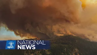 First Nation leaders call on B.C. to take immediate action to protect old-growth trees | APTN News