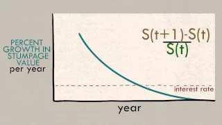 Forestry Economics: Ecosystem Services and the Optimal Rotation Age