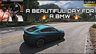 BMW X6 | Forza Horizon 5 | Xbox Series X | Thrustmaster TX RW Gameplay