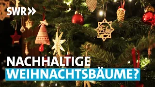 Weihnachtsbaum trotz Klimakrise?  | Zur Sache! Rheinland-Pfalz