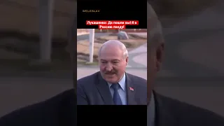 А. Лукашенко: Да пошли вы! Я в Россию поеду! #shorts #лукашенко #беларусь