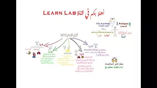 ما هي الاجسام المضادة وانوعها وخصائصها ؟ (antibodies) (immunoglobulin)