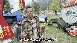 小哥与众不同的出行方式，踩个滑板车去西藏，顺带路上救助流浪狗