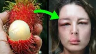 Top 10 Most Poisonous Fruits In The World | Versatile dani