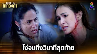 โง่จนถึงวินาทีสุดท้าย | HIGHLIGHT ทายาทไหทองคำ EP30 | ช่อง8