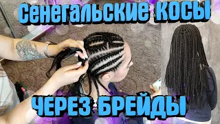 СЕНЕГАЛЬСКИЕ КОСЫ ЧЕРЕЗ БРЕЙДЫ ▼каркас для сенегальских кос