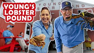 🔥 Unearthing Maine's Finest Lobster Feast At Young's Lobster Pound 🦞