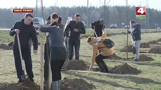 Гродненское ТВ 15 04 2019 Общереспубликанская акция Неделя леса