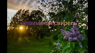 Соловьиная свирель / cover/  исп: Людмила Бянкина
