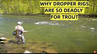 Dry Fly & Dropper Rigs | How To & Why So Effective