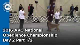 National Obedience Championship 2016 Day 2 Part 1/2