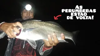 Pescaria na lagoa de Araruama