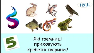 Які таємниці приховують хребетні тварини?