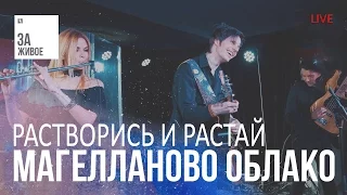 Группа Магелланово Облако - Растворись и Растай / За Живое (live)