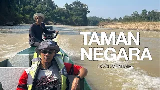 EXPÉDITION DANS LA PLUS ANCIENNE JUNGLE DE MALAISIE : DOCUMENTAIRE 🇲🇾