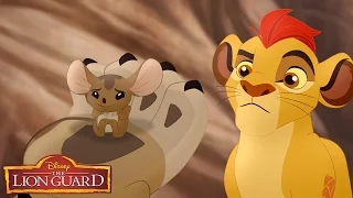 Lions Over All | Music Video | The Lion Guard | Disney Junior