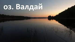 Красноперка на удочку. Озеро Валдай