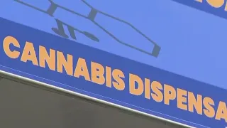 Court ruling halts opening of new cannabis dispensaries