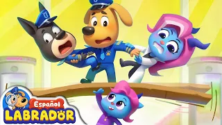 🔍Sheriff Labrador - Poderosa Max 🥑 | Videos para Niños | BabyBus en Español