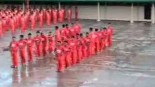 Algorithm March with Prisoners