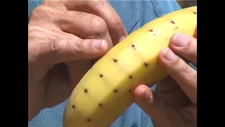 Pre-sliced banana