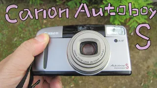 【フィルムカメラ】Canon Autoboy S で写真を撮りました！ハードオフのジャンクカメラで1650円！ Canon SURE SHOT Z115 / Canon PRIMA SUPER 115