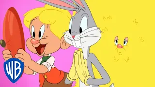 Looney Tunes po polsku 🇵🇱 | Pierwsza randka Elmera z włosami | WB Kids