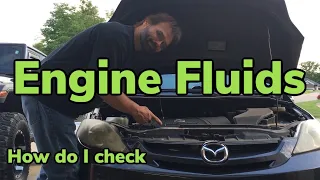 Checking you car’s fluids