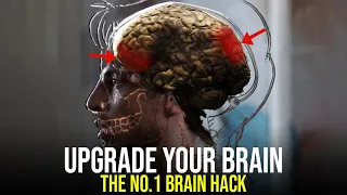 The 4 Life And Mind Hacks YOU NEED TO KNOW | Ft Cal Newport ,Moran Cerf