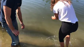 Sturgeon release