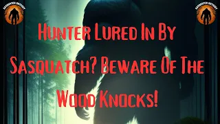 Hunter Lured In By Sasquatch? Beware Of The Wood Knocks!