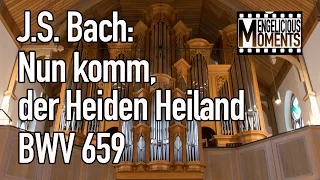 J.S. Bach: Nun komm, der Heiden Heiland BWV 659 - David Boos, organ