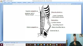 Anatomy GIT Module in Arabic 6 ( Arteries of Anterior Abdominal Wall ) ,  by Wahdan