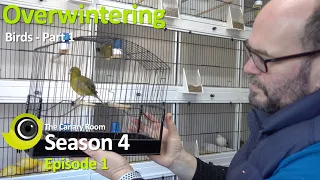 The Canary Room Season 4 Episode 1 - Overwintering Birds Part 1