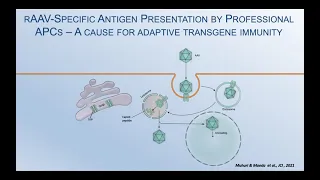 Model Informed Drug Development Approaches for Immunogenicity Assessments Workshop