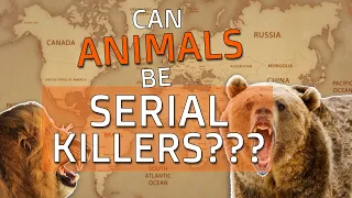 Can Animals be Serial Killers?? - We look at 9 times Animals turned into Man Eaters