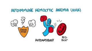 Autoimmune Hemolytic Anemia