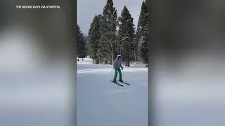 Moose chases skiers down ski slope