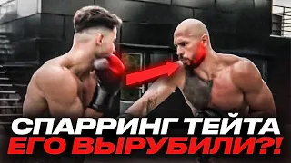 Эндрю Тейт. СПАРРИНГ С ПРОФЕССИОНАЛОМ! ЕГО ВЫРУБИЛИ?