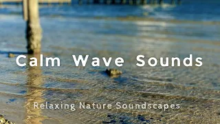 The Most Calm Waves Ever - Wave Sounds to Sleep, Study and Chill