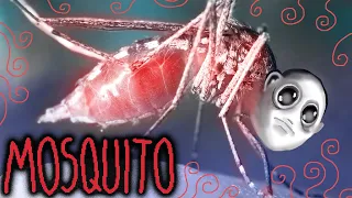 MOSQUITO (animation)