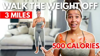 3 MILE Fat Burning Indoor Walk (Burn up to 500 calories!!) Beginner Friendly | growwithjo