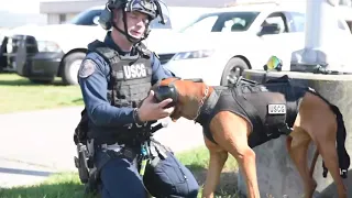 K-9 Vertical Delivery Demonstration