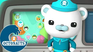 Octonauts - L'équipe de sauvetage de l'océan | Dessins animés pour enfants