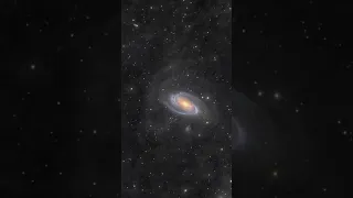 M81 and M82: Galaxy Wars #shorts