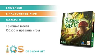 ГРИБНЫЕ МЕСТА настольная игра, обзор и правила игры