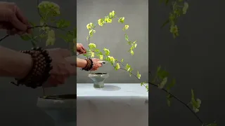 藝術插花 flowers arrangement