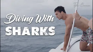 DIVING WITH SHARKS (....NO CAGE!!) | Tyler Cameron