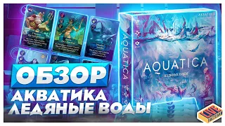 Обзор дополнения Ледяные воды для настольной игры Акватика